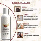 Rice Water Hair Shampoo, Paraben and Sulphate Free (Pack of 2)