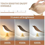 Table Bird Lamp LED – Decorative Night Light for Home & Office | Safamart